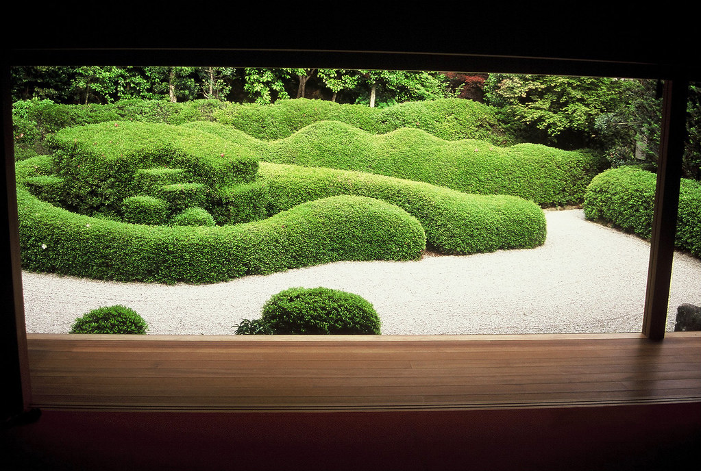 Sculpted hedge garden viewed from a garden path