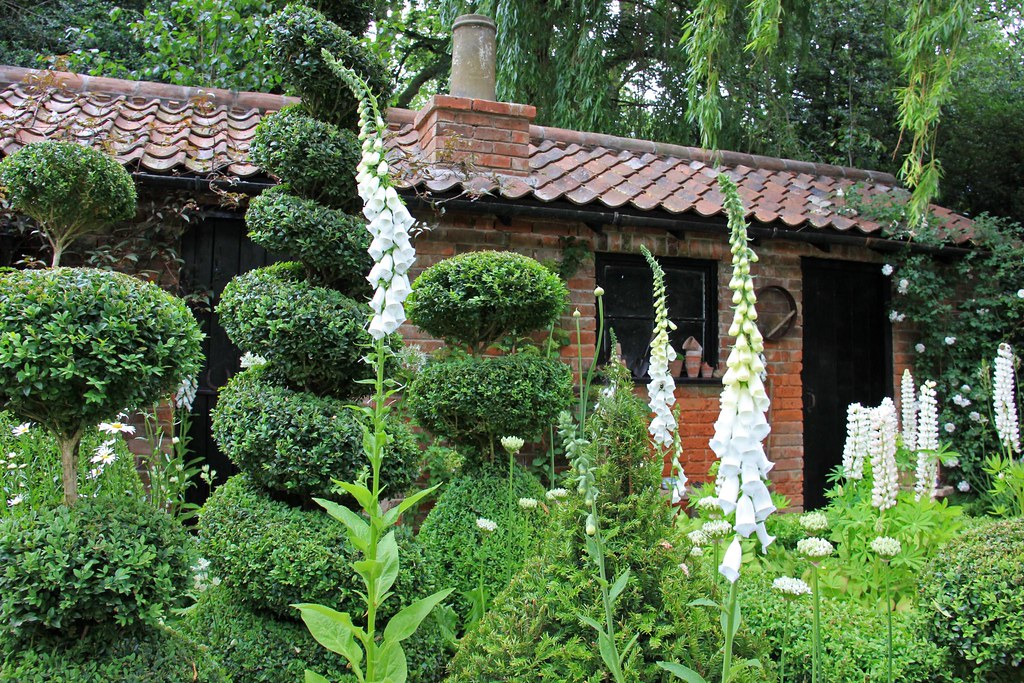 Neatly pruned hedge topiary in a cottage garden bed