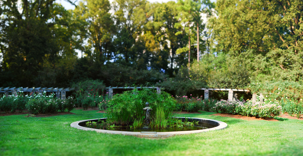 Lush, freshly mowed lawn with garden beds and hedges